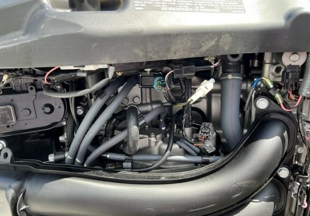 Skeeter fx21 apex edition