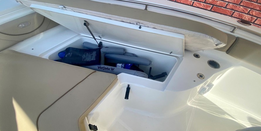 Sea Ray hunt ultra 211
