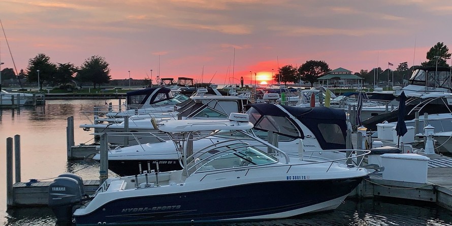 Hydra-sports 2800 vector wa