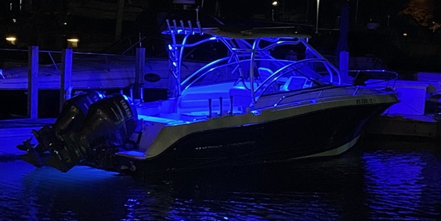 Hydra-sports 2800 vector wa