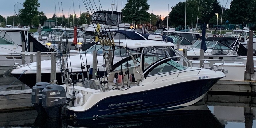 Hydra-sports 2800 vector wa