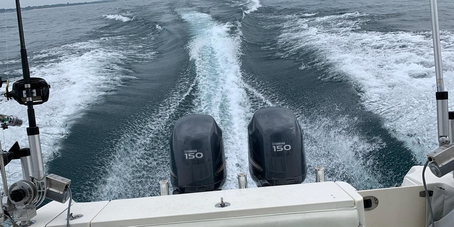 Hydra-sports 2800 vector wa