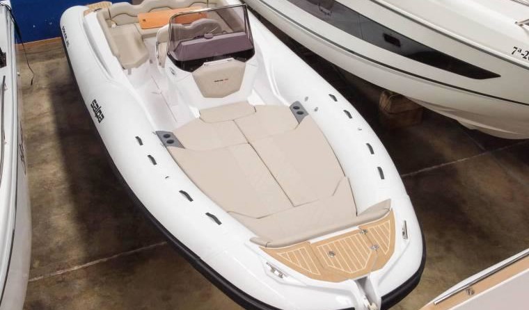 Salpa Gran Soleil 23