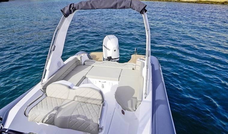 Salpa Gran Soleil 23