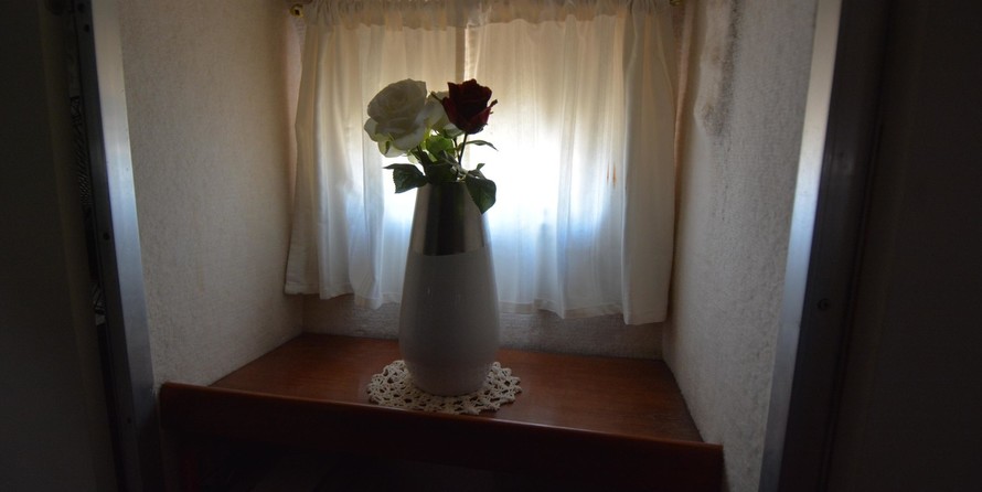 Custom Dream Voyager