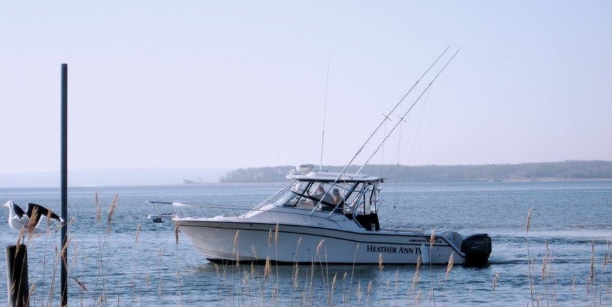 Grady-White Express 330