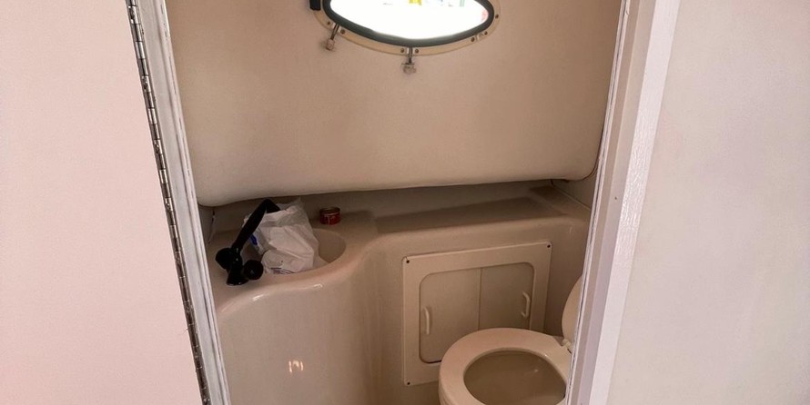 Pro-line 2950 mid cabin