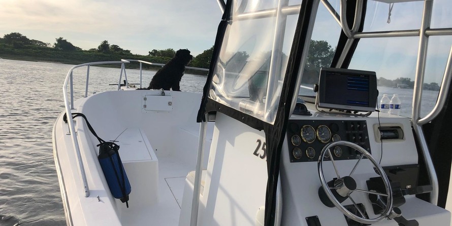 Angler Pro Boats 2900 center console