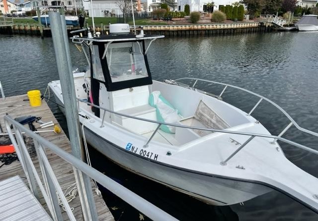 Angler Pro Boats 2900 center console