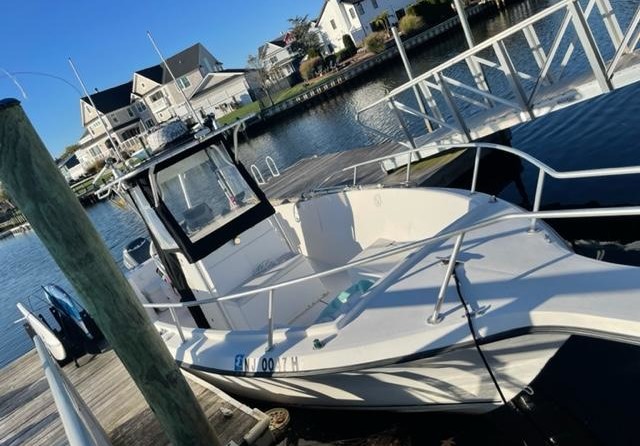 Angler Pro Boats 2900 center console