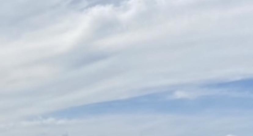 Wellcraft 250 Fisherman