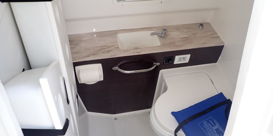 Pursuit st 310 sport