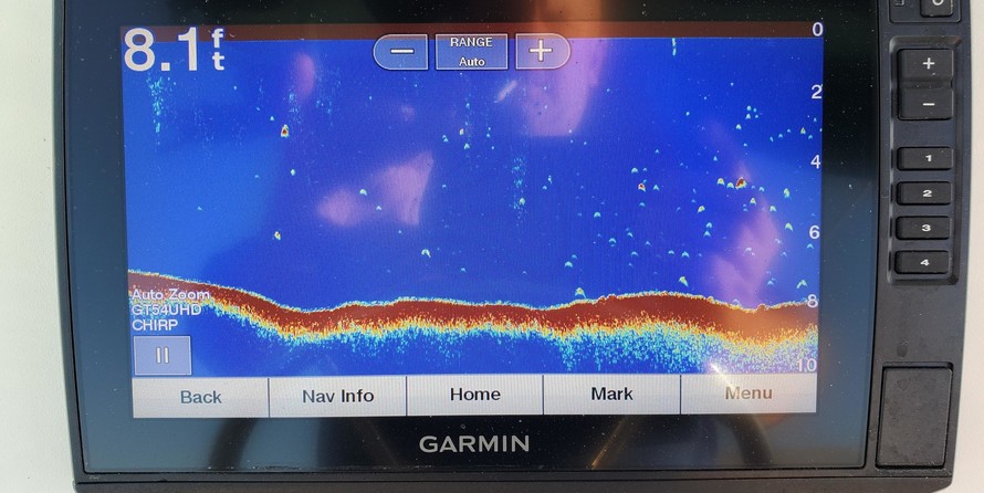 Aquasport 245 osprey