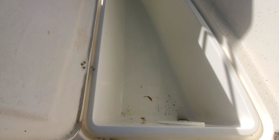 Aquasport 245 osprey