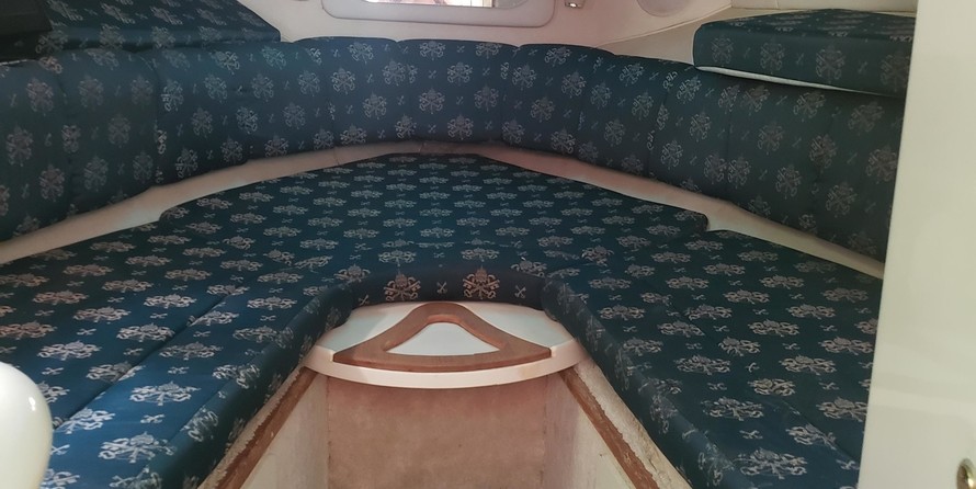 Sea ray 270 sundancer