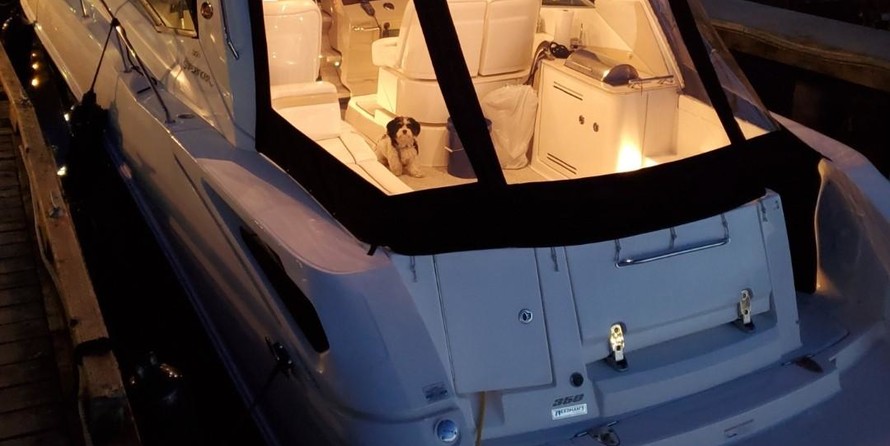 Sea Ray 370 Sundancer