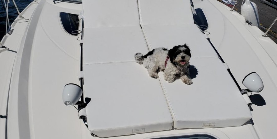 Sea Ray 370 Sundancer