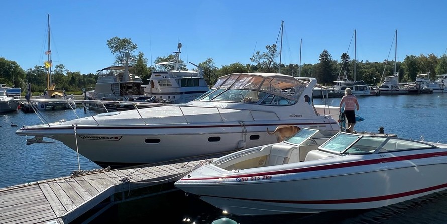 Cruisers yachts 3375 express