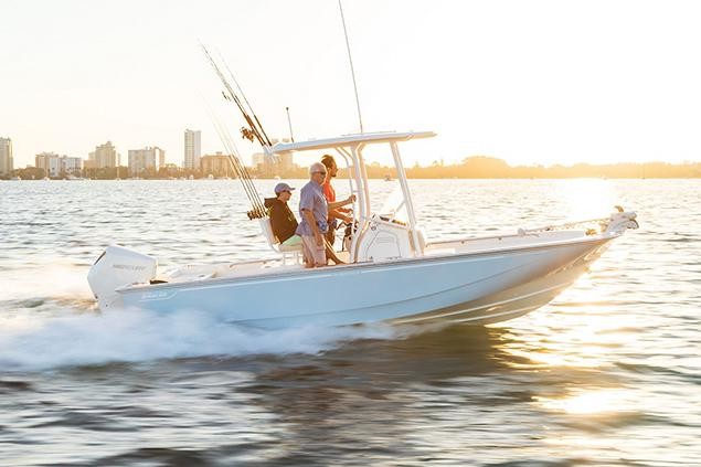 Boston Whaler 210 Montauk