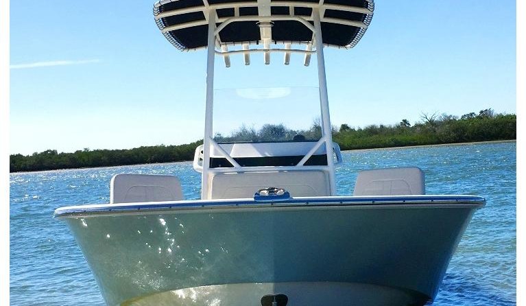 Boston Whaler 210 Montauk