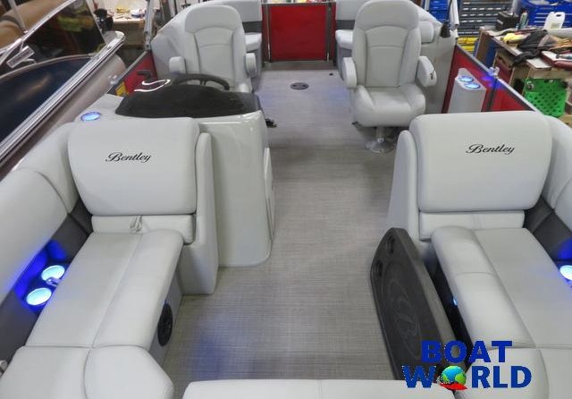 Bentley 200 fish
