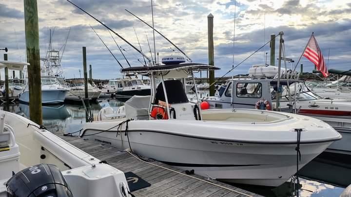 Hydra-sports 2800 vector wa