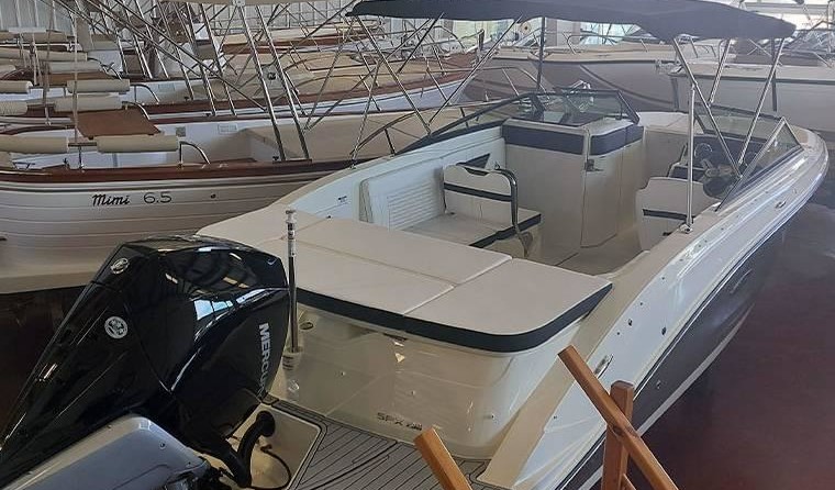 Sea Ray SPX 230 OB