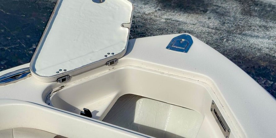 Sailfish 220 CC