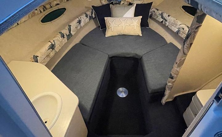 Sea ray 215 express cruiser