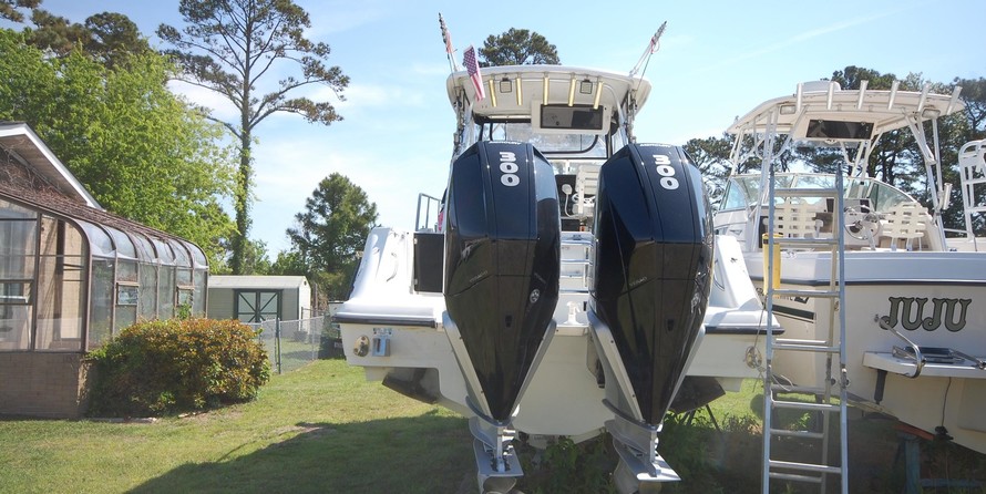 Hydra-sports 2800 vector wa