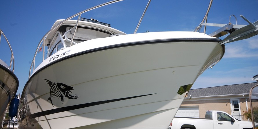 Hydra-sports 2800 vector wa