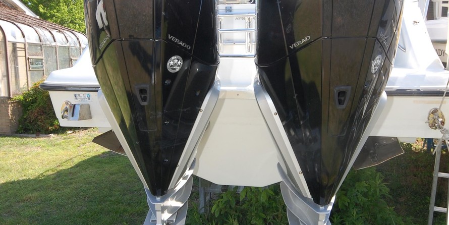 Hydra-sports 2800 vector wa