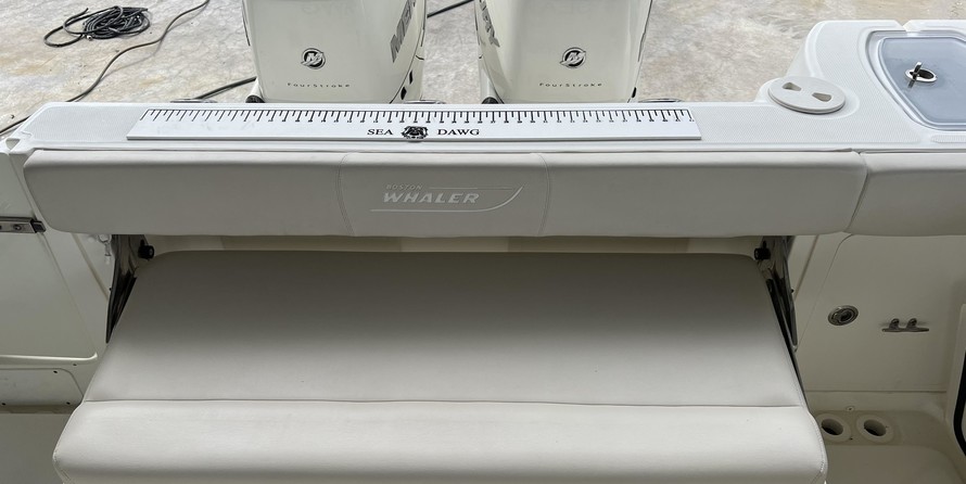 Boston Whaler 315 Conquest