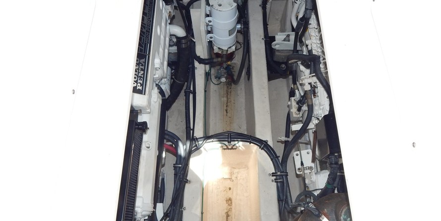 Wellcraft 290 Coastal