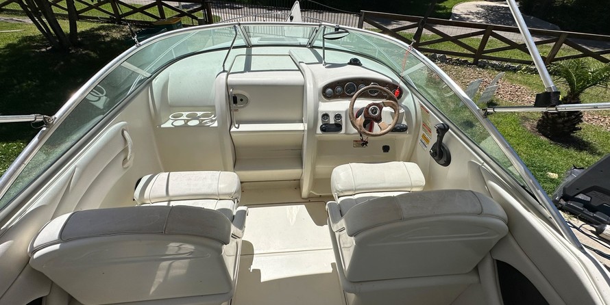 Sea ray 225 weekender