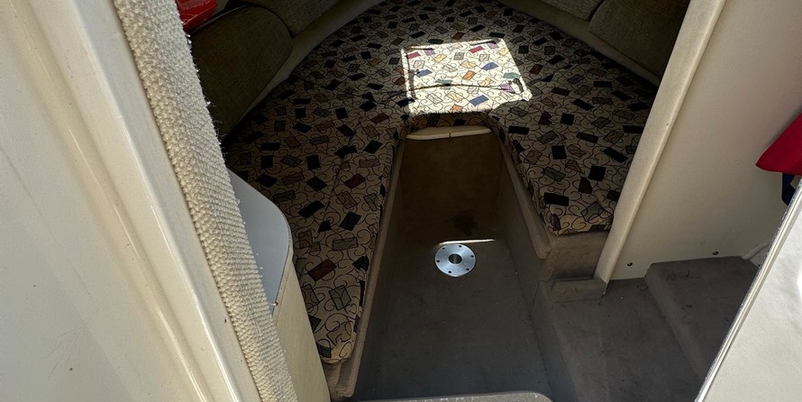 Sea ray 225 weekender