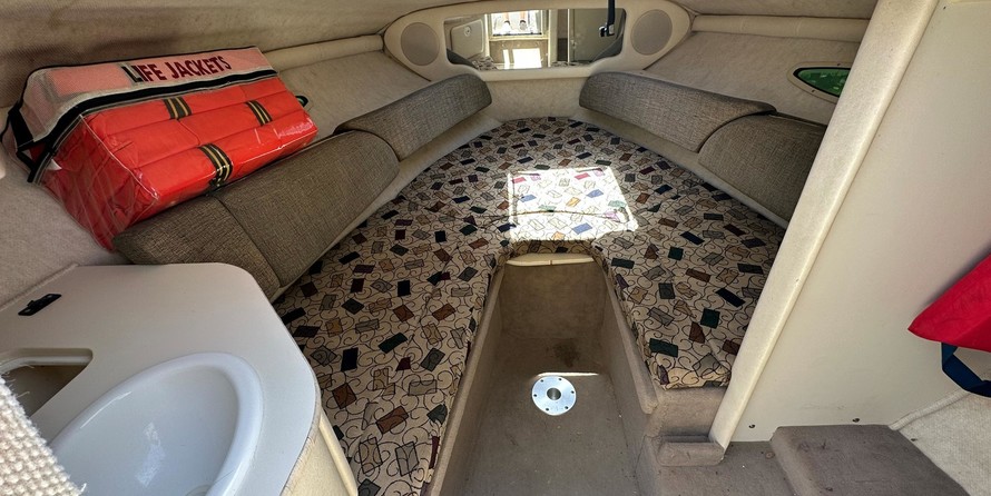 Sea ray 225 weekender