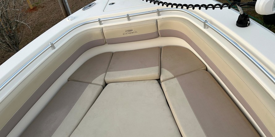 Cobia 217 center console