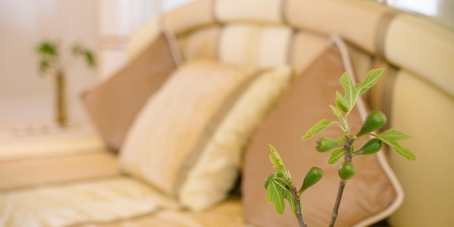 Elegance elegance 76 new line stabis