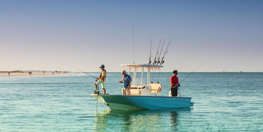 Boston Whaler 210 Montauk