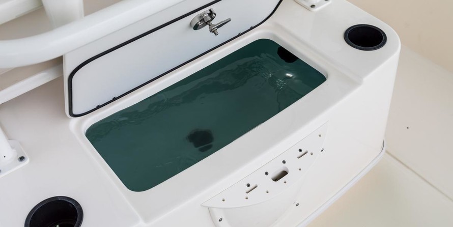 Boston Whaler 210 Montauk