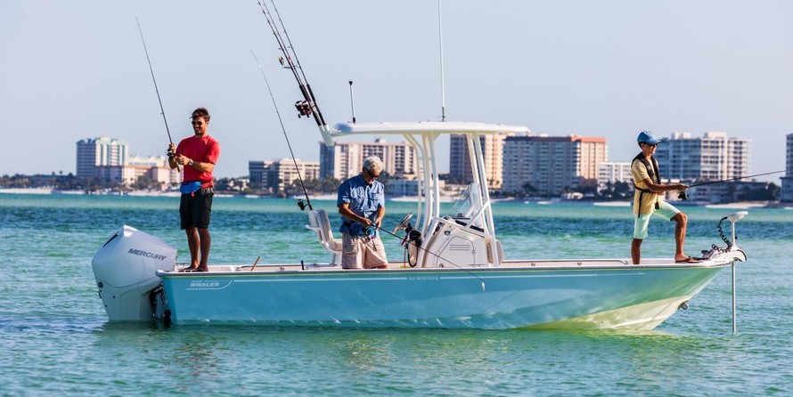Boston Whaler 210 Montauk