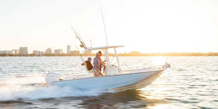 Boston Whaler 210 Montauk