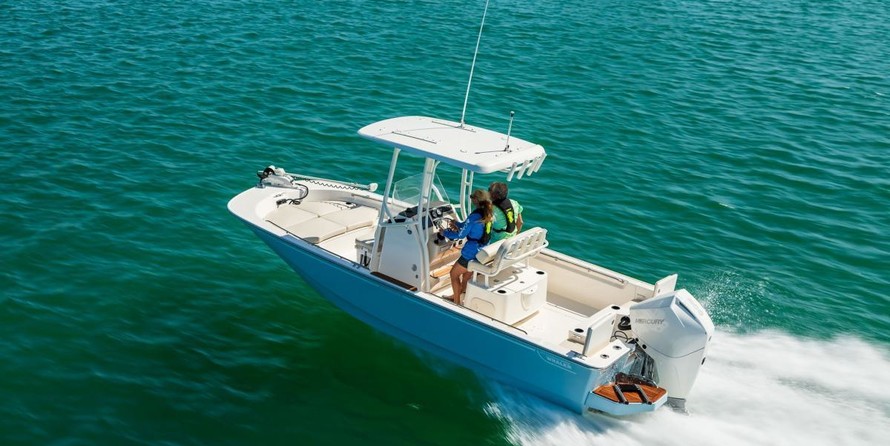 Boston Whaler 210 Montauk