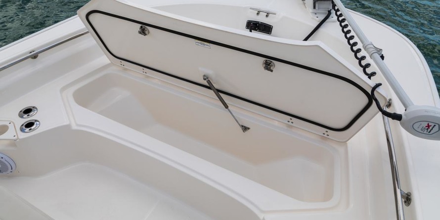 Boston Whaler 210 Montauk