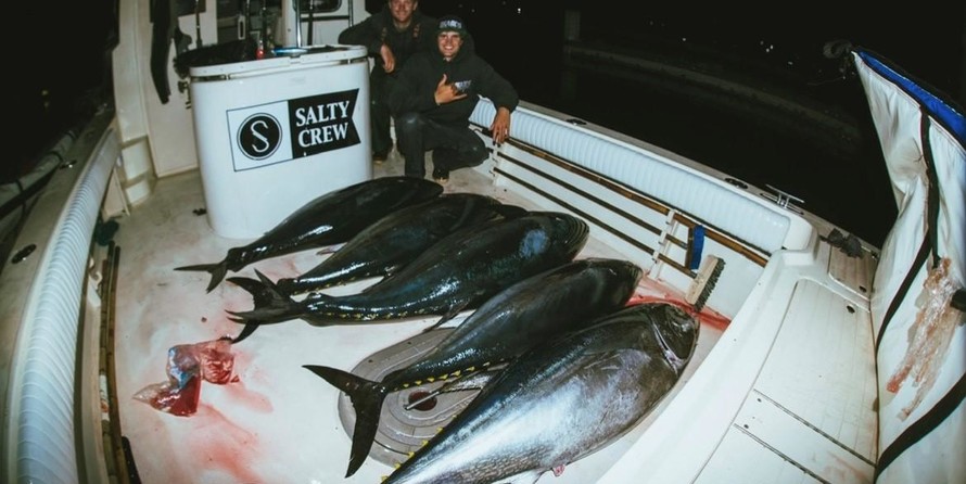 Parker 2820 XLD Sport Cabin