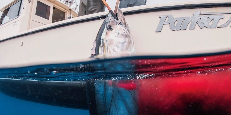 Parker 2820 XLD Sport Cabin