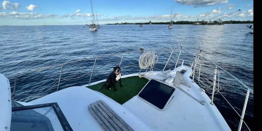 Bluewater yachts 42 coastal cruiser