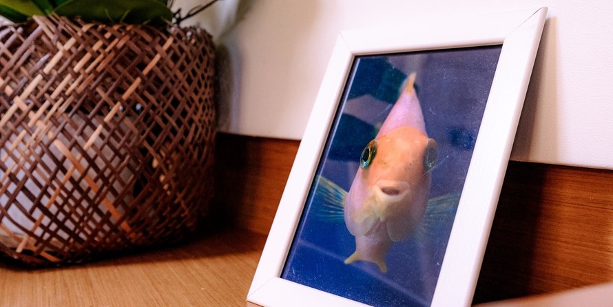 Jeanneau Sun Odyssey 469