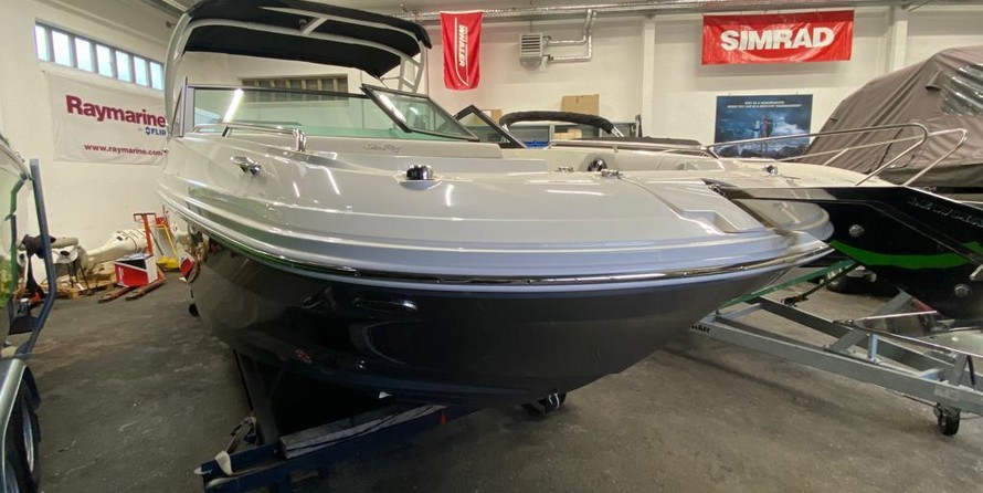 Sea Ray SDX 250